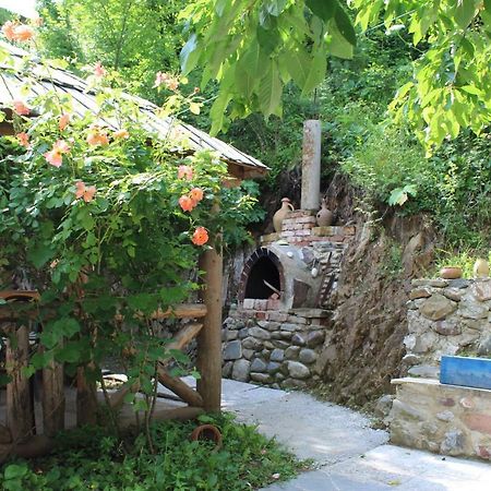 Nikala'S House Hotel Borjomi Exterior photo
