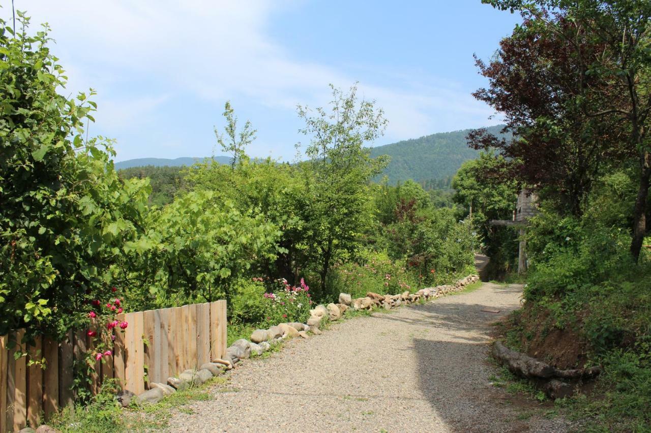 Nikala'S House Hotel Borjomi Exterior photo