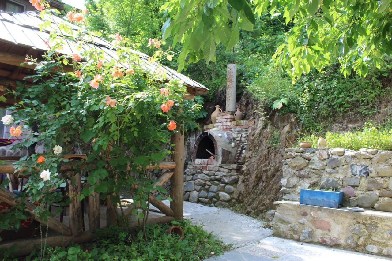 Nikala'S House Hotel Borjomi Exterior photo